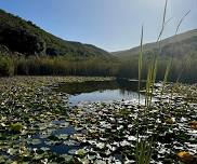 Bodhi Khaya Retreat