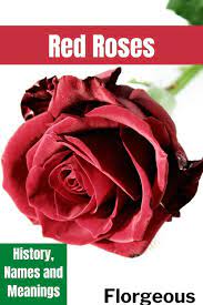 Red Roses History And Meanings Red Roses Red Rose Flower Rose Varieties