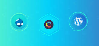 Choosing a content management system can be a complex decision. Contentful Vs Wordpress Vs Drupal Contentful