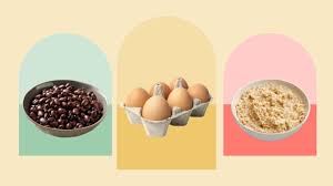 Image result for Protein