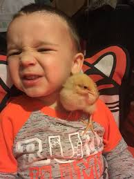 Here's some Biker Chicks for you… 😆😎