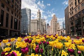 How much is an llc in illinois. How Much Does A Home Inspection Cost In Illinois Bee Sure Home Inspection Services Llc