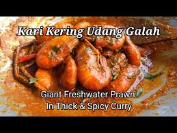 Memancing udang galah / jenggo ( joran memain kan peranan ) #udanggalah. Kari Pekat Udang Galah