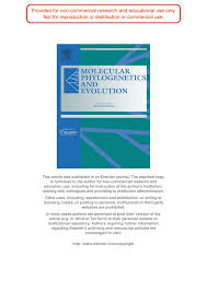 Image result for Raphidiocystis phyllocalyx