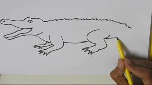 Draw another curve shape for its tail. How To Draw A Crocodile In Easy Steps Advanced Drawing Lesson Youtube