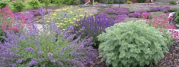 Xeriscaping techniques used in the landscape design process can deliver stunning results! Xeriscaping Colorado S Water Efficient Landscaping Option Fort Collins Real Estate By Angie Spangler