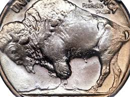 valuable buffalo nickel key dates rarities and varieties