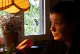 Robin Sinisalo, 15, ammuttiin kotinsa eteen