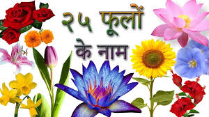 Check spelling or type a new query. Flowers Name In Hindi