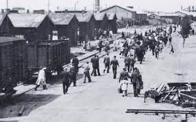 8,046 likes · 242 talking about this · 7,718 were here. Kamp Westerbork Fiets Wandelkaart
