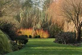 Sir Harold Hillier Gardens Hampshire Winter Garden Garden Landscape