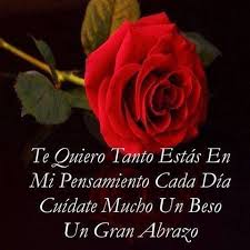 Te Quiero Tanto Frases De Amor Puro Imagenes Bonitas De Amor Imagenes De Amor