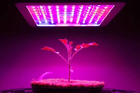 The Best Grow Lights For Your Indoor Plants In 2020 Best Grow Lights Grow Lights Indoor Grow Kits