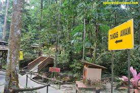 The sungei tekala recreational park can be reached from ulu langat or from seminyih. Hutan Rekreasi Sungai Tekala Apa Yang Menarik Xplorasi Destinasi