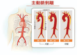 56829 12 3 4 5 6 7 8 9 10. å¥åº·åˆŠç‰© å…¨æ°'å¥åº·åŸºé‡'æœƒ