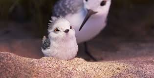 Image result for Piper