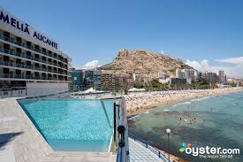 Image result for Melia