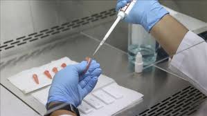 Sin embargo, la vacuna por sí sola no detendrá la pandemia de inmediato. Vacuna Contra Covid 19 Buscara Su Revision Regulatoria En Octubre