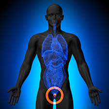 A psa test is usually done in the same session as a dre. Mri Guided Focused Ultrasound Ablation Shows Promising Early Outcomes In The Treatment Of Prostate Cancer