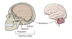 Классификация