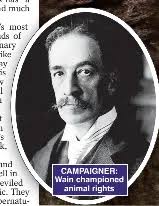 The troubled artist who made Britain fall in love with cats