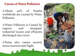 Environmental Pollution In 2020 Environmental Pollution Water Pollution Pollution
