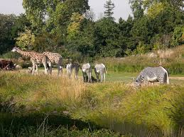 Plaine Africaine Wikipedia Tout a l'air tranquille dans la savane africaine… et pourtant, la vie n'y est pas facile pour les animaux ! plaine africaine wikipedia