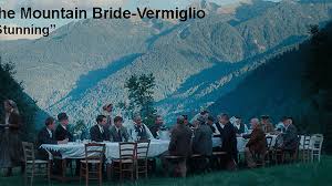 Image result for Bridelia duvigneaudii