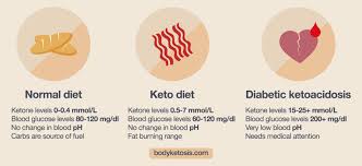 I haven't, and here's why. The Ultimate Guide On How To Get Into Ketosis Fast Under 36 Hours Bodyketosis