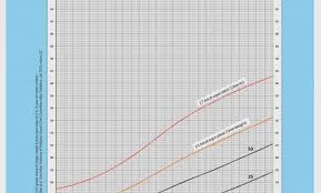 48 Veracious Chihuahua Weight Chart Growth