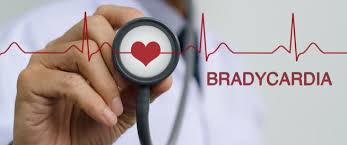 A pacemaker is a small device about the size of a matchbox or smaller that weighs 20 to 50g. Ø¨Ø·Ø¡ Ø§Ù„Ù‚Ù„Ø¨ Ø§Ø¹Ø±Ø§Ø¶ Ø§Ø³Ø¨Ø§Ø¨ ÙˆØ¹Ù„Ø§Ø¬ Ø¨Ø·Ø¡ Ø§Ù„Ù‚Ù„Ø¨ ÙˆÙŠØ¨ Ø·Ø¨