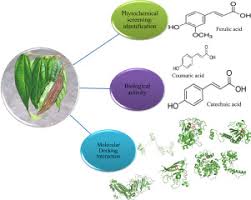 Image result for Glyphaea