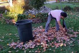 Spring Lawn Clean Ups Near Rensselaer New York Spring Landscaping Leaf Pickup Fall Clean Up
