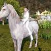 Be a real cowgirl, or take care of cute horses! Https Encrypted Tbn0 Gstatic Com Images Q Tbn And9gctlggzc Slhtkil0zkmcud9 H1hjw0f6qq Yxdu6dtv3jmi3 Ew Usqp Cau