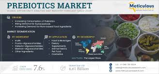 Prebiotics Market by Size, Share, Forecasts, & Trends Analysis