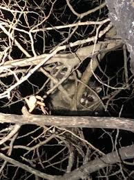 Find and connect with elk grove's best pest control companies. Pest Control Md Of Bonnyville Ab Official Website