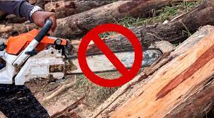 What Is Chainsaw Kickback? What Causes Kickback? (And Tips On How To Avoid  It) - Chainsaw Larry