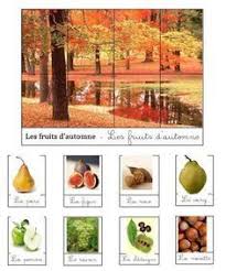 Travail Sur Les Saisons Saisons Maternelles Fruits D Automne Ecole De Crevette
