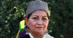Éramos siete hermanos y una familia sin un salario fijo, comenta elisa loncon antileo, quien nació en lefweluan, comunidad mapuche de la comuna de traiguén, región de la araucanía en 1963. Nfgd1ga Gyy9m