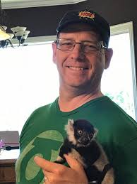 Zaboo the Wonder Lemur