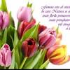 Primavara anotimpul renasterii, al trezirii la viata, face acum de ziua aceasta de 8 martie, ziua cea mai plina de feminitate, zambete, si caldura sufleteasca! Https Encrypted Tbn0 Gstatic Com Images Q Tbn And9gctmhezvadso B Jxh7mukwlr5dgbw1 Gtyinksjzls Usqp Cau