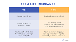 It can also provide cash to pay any debts or business expenses you leave behind. Amplify What Is Life Insurance All About We Spill The Secrets Benefits On Why This Financial Planning Tool Is Your Next Best Move