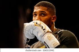 1+ Thousand Boxing World Title Royalty-Free Images, Stock Photos & Pictures 