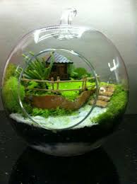 Mahmut Kirnik 2083 Terrarios Jardin De Hadas Diy Jardines De Hadas En Miniatura Mini Jardines