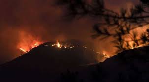 Cyprus fire extinguishers is one of the many portals within the network that endeavors to provide a comprehensive listing of businesses and services that are based on the island of cyprus whose. 38zwp7qod6299m