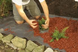 We did not find results for: Top 9 Best Weed Barriers 2021 Greenyardmaster