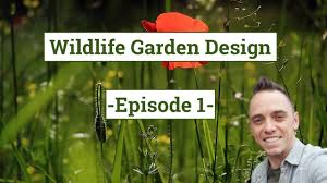 I am sure, most people keep the same mindset. Wildlife Garden Design Guide Episode 1 Planning The Garden Youtube