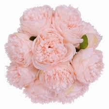 Check spelling or type a new query. Coolmade Vintage Peony Artificial Flowers 2 Pack Silk Flowers Bouquet 10 Heads Peony Fake Flowers For Wedding Home Decoration Peach Walmart Com Walmart Com