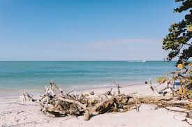 Image result for Sandy Beach Brown 2011 Captiva