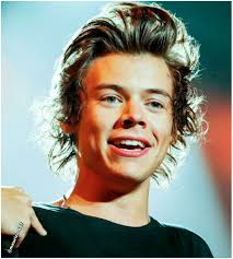 This took me a really long time, so i'd appreciate if you wouldnt take thisbut yeah um harry is hot thats all i have to say. Harry Styles 2013 One Direction Foto 35234909 Fanpop